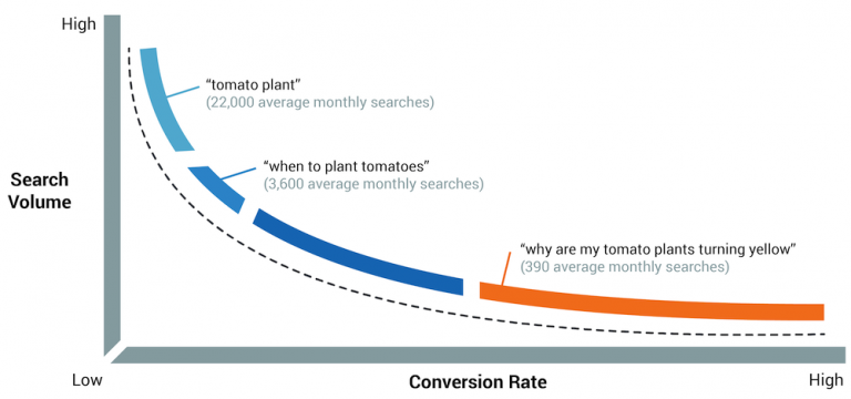 seo keyword